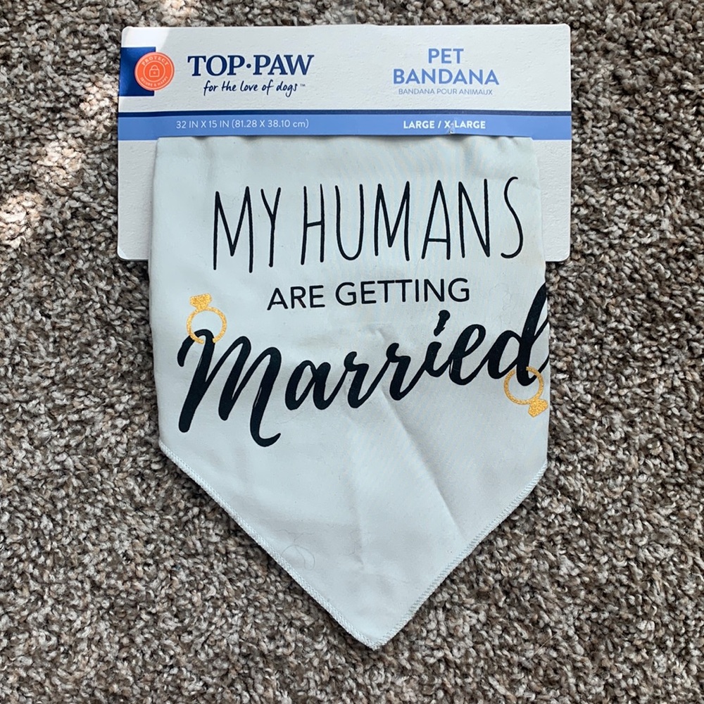 Wedding Pet Bandana